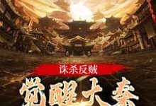 诛杀反贼，觉醒大秦千年气运最新章节诛杀反贼，觉醒大秦千年气运在线阅读-维C文学