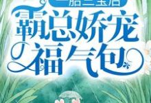 小说一胎三宝后,霸总娇宠福气包主角陆北城江如意免费阅读-维C文学
