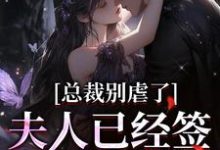求助这本总裁别虐了，夫人已经签了离婚书小说在哪里可以看完结版-维C文学