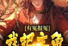 有冤报冤,我把主角宠刀尖无弹窗顾长清最新章节列表-维C文学