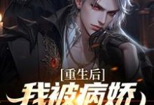 被病娇财阀抢婚后,校花悔哭热门小说(林轩苏婳)在线阅读无弹窗-维C文学