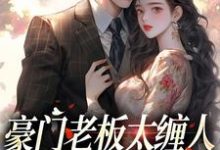 豪门老板太缠人，为她折腰为她疯（沈雾徐宴行）最新章节在线阅读-维C文学