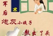 姐随军后,炮灰小姨子熬出了头热门小说(吴妮妮叶泽川)在线阅读无弹窗-维C文学