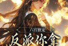 小说六宫独宠,反派你拿什么和我斗主角谢淑华免费阅读-维C文学