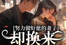 努力做好他的妻子,却换来不被尊重在线看,姜晚漓小说大结局在哪免费看-维C文学