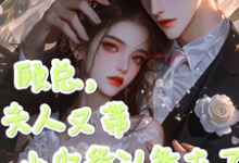 完结版顾总,夫人又带小少爷认爹去了在哪免费看,顾知衍苏禾小说在线阅读-维C文学