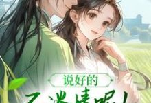 说好的不谈情呢!王爷请自制无弹窗风潇潇陆舟渊最新章节列表-维C文学