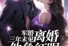 结婚三年不回家,军婚也得离完结版姜柠沈墨免费阅读大结局-维C文学
