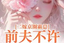 二嫁京圈霸总,前夫不许来捣乱完结版阮莞厉渊免费阅读大结局-维C文学
