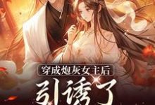 沈毓灵权明赫在线阅读，踹掉言情男主，勾搭男频帝王小说完结版章节-维C文学