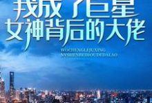 林舟苏青梅小说免费阅读最新章节列表,记忆苏醒,我成了巨星女神背后的大佬小说在线看-维C文学