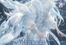 完结版佣兵首领陨落后，被小人鱼救赎了在哪免费看，墨星钰小说在线阅读-维C文学