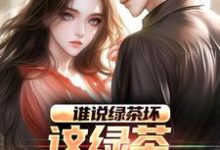 跪求主角是陈默林饭饭的小说书名叫什么-维C文学