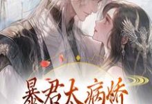跪求主角是 江无眠耶律央的小说书名叫什么-维C文学