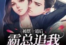 池浅顾锦城小说免费阅读最新章节列表，被摆一道后，霸总追我火葬场小说在线看-维C文学