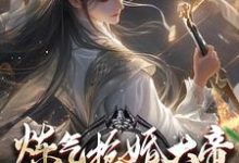求助这本炼气抢婚大帝，你当这里是女频？小说在哪里可以看完结版-维C文学