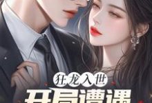 跪求主角是苏逸沈清月的小说书名叫什么-维C文学