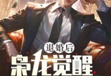 精彩章节阅读退婚后,枭龙觉醒,镇压当世(楚风甄姬)免费小说在线看-维C文学