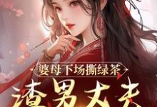 完结版婆母下场撕绿茶，渣男丈夫被赶出家在哪免费看，杜英箫牧尧小说在线阅读-维C文学
