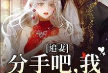 求助这本追妻：分手吧，我不哄你了小说在哪里可以看完结版-维C文学