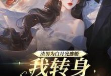 渣男为青梅逃婚,我转身嫁他小叔小说最新章节在哪里可以免费看-维C文学