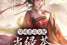 完结版穿成恶毒女配,当绿茶这么有趣?在哪免费看,乔挽颜小说在线阅读-维C文学