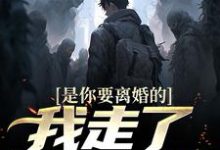 陈潜柳如烟小说的结局在哪可以看,是你要离婚的,我走了你又哭?免费阅读完结版-维C文学