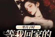 坐月子时，等我回家的前夫疯了无弹窗江晚月傅寒川最新章节列表-维C文学