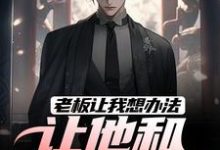 小说老板让我想办法，让他和老婆离婚主角秦羽免费阅读-维C文学