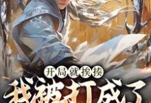 跪求主角是叶青的小说书名叫什么-维C文学