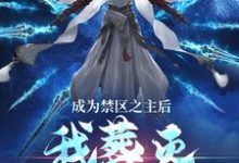 求助这本成为禁区之主后,我葬灭万古诸天小说在哪里可以看完结版-维C文学