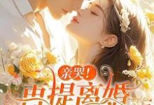 亲哭!再提离婚,霍总彻底失控了(苏暖霍云琛)最新章节在线阅读-维C文学