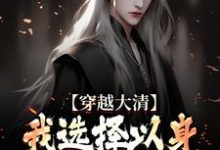 穿越大清，我选择以身解救千万百姓精彩章节阅读(赵源)免费阅读大结局-维C文学