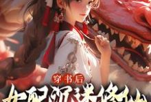 跪求主角是许寒清的小说书名叫什么-维C文学