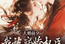 裴砚忱姜映晚小说的结局在哪可以看,大婚前夕,我被病娇权臣强取豪夺了免费阅读完结版-维C文学