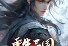 重生三国,开局黄巾起义免费阅读,张新大结局无弹窗-维C文学