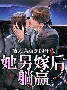 被人满级黑的年代，她另嫁后躺赢免费阅读，金丽红宁海大结局无弹窗