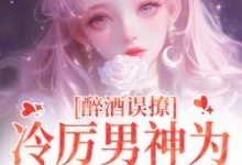 小说醉酒误撩!冷厉男神为她沦陷情海(厉霆之宁晚晚)最新章节在哪看-维C文学