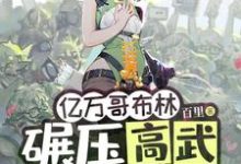 亿万哥布林,碾压高武很合理吧?最新章节亿万哥布林,碾压高武很合理吧?在线阅读-维C文学