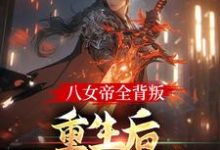 陈昊灵小说免费阅读最新章节列表,八女帝全背叛,重生后哭着求复合小说在线看-维C文学