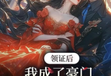 领证后，我成了豪门太子娇养妻免费阅读，苏灵儿姜明琪大结局无弹窗-维C文学