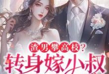 渣男攀高枝?转身嫁小叔被宠哭免费阅读(楚翘)小说免费读最新章节-维C文学