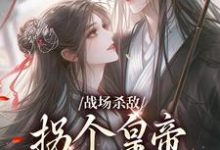 战场杀敌,拐个皇帝当男宠精彩章节在线免费阅读(季姜顾雁行)-维C文学