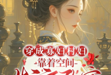 秦凰小说免费阅读最新章节列表,穿成寡妇村妇,靠着空间发家致富小说在线看-维C文学