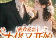 精彩章节阅读极致爱恋，大佬又开始攻心了(季染傅京渊)免费小说在线看-维C文学