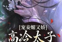 宁宁萧璲最新章节宠妾媚又娇,高冷太子为她失了魂免费阅读-维C文学