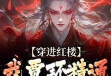 求助这本穿进红楼，我贾环精通朝堂争斗小说在哪里可以看完结版-维C文学