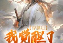 小说穿越后，我觉醒了武道系统主角陈心安免费阅读-维C文学
