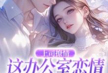 求助这本上司撩情，这办公室恋情我谈定了小说在哪里可以看完结版-维C文学