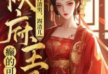 主角是魏芷殊的小说打渣男，踢渣儿，侯府主母癫的可怕在哪免费看-维C文学